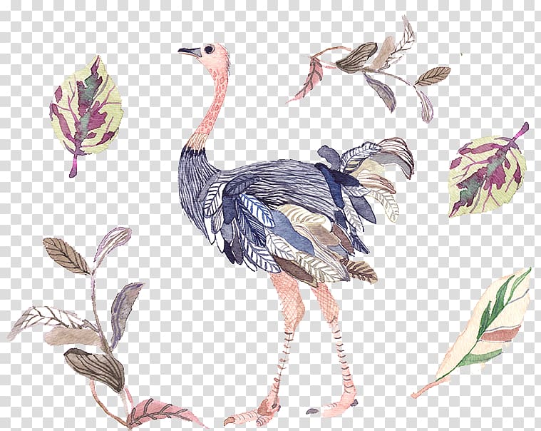 Illustration, Painted peacock pattern transparent background PNG clipart