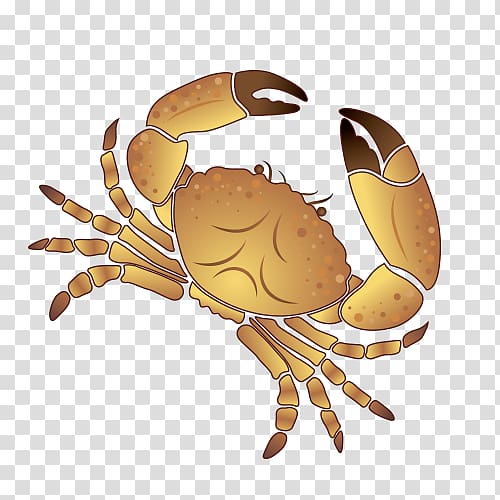 Arecaceae Euclidean Coconut, crab transparent background PNG clipart