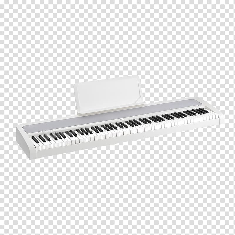 Korg B1 Digital piano Musical Instruments, electronic piano transparent background PNG clipart