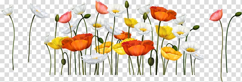 Animaatio Computer Animation Avatar Blog, poppy transparent background PNG clipart