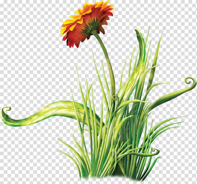 Landscape lighting Flower Garden Aujourd\'hui , others transparent background PNG clipart