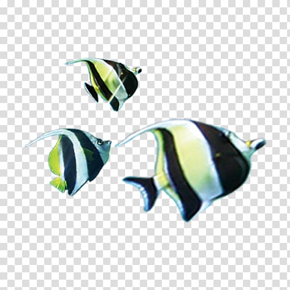 Computer Icons Clownfish , Tropical Fish transparent background PNG clipart