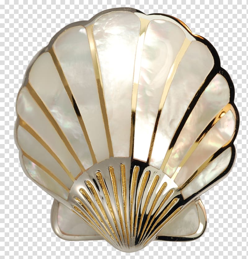 Seashell Pearl Nacre Scallop, pearls transparent background PNG clipart