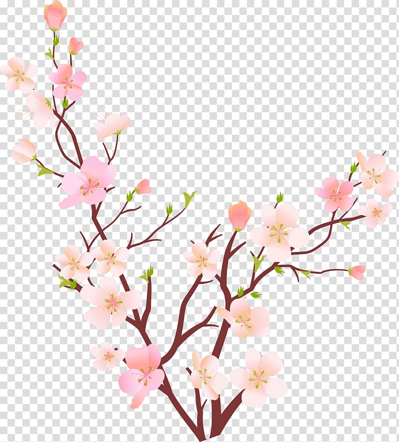 Spring RGB color model , magnolia flower branches transparent background PNG clipart