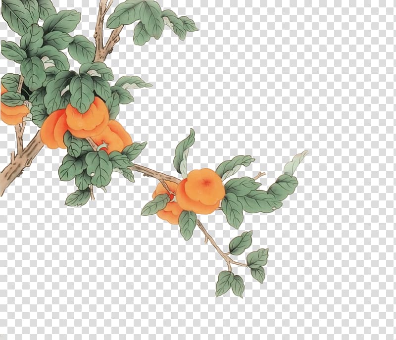 orange flowers illustration, Chinese painting Ink wash painting Japanese Persimmon Bird-and-flower painting, Painting persimmon tree transparent background PNG clipart