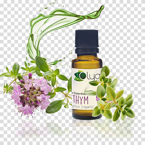 Essential oil Aromatherapy Lavender oil Bourbon geranium, oil transparent background PNG clipart