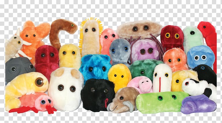 Plush Stuffed Animals & Cuddly Toys GIANTmicrobes Microorganism Bacteria, child transparent background PNG clipart