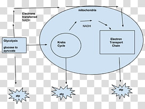 Drawing Line Point, line transparent background PNG clipart thumbnail