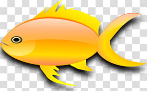 Gold fish transparent background PNG cliparts free download