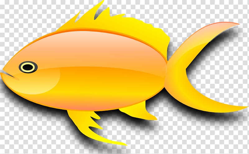 Carassius auratus Fish , Gold Fish transparent background PNG clipart