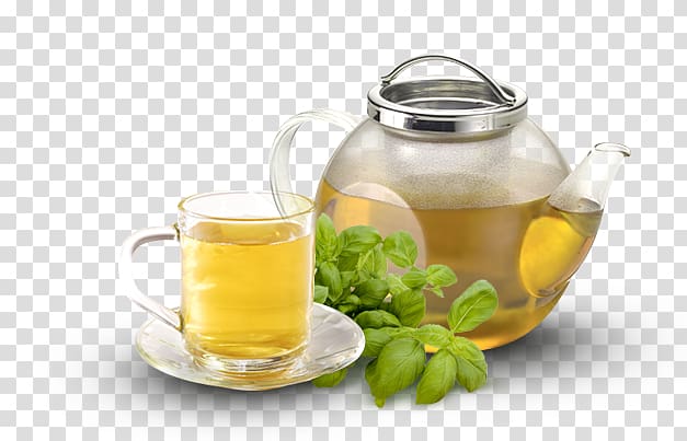 Tea Coffee Infusion Basil Fizzy Drinks, tea transparent background PNG clipart