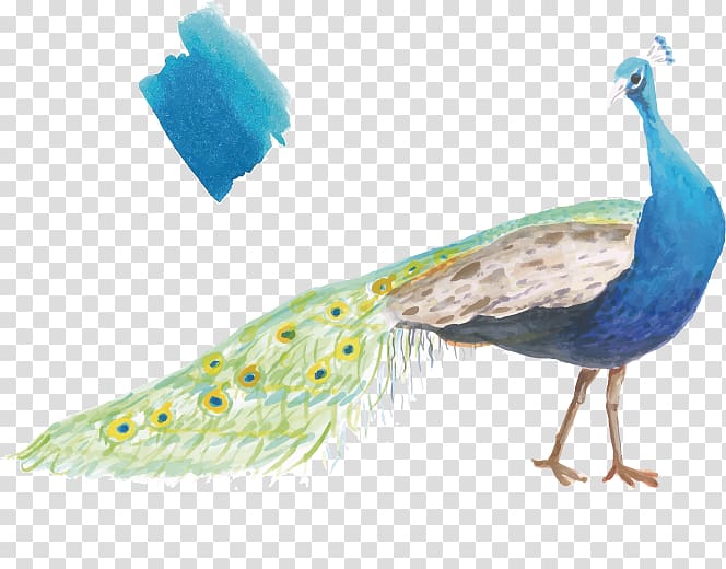 Peafowl Gift Greeting card Printmaking Illustration, watercolor painted peacock and peacock blue transparent background PNG clipart