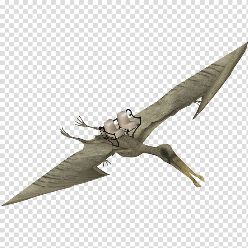 Zoo Tycoon 2: Marine Mania Ornithocheirus Tropeognathus Pteranodon Pterosaurs, thailand transparent background PNG clipart