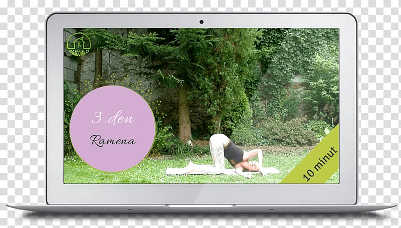 Video Yoga Multimedia Television Exercise, others transparent background PNG clipart