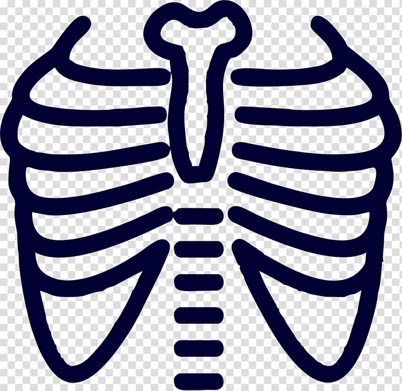 X-ray Chest radiograph Lung Radiography Thorax, lung transparent background PNG clipart