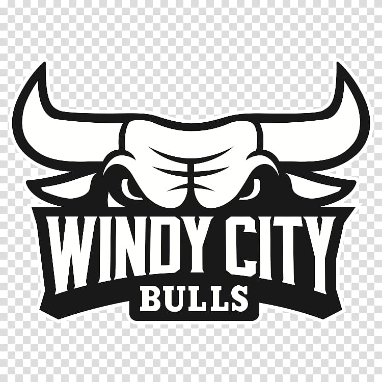 Windy City Bulls NBA Development League Chicago Bulls Canton Charge, others transparent background PNG clipart