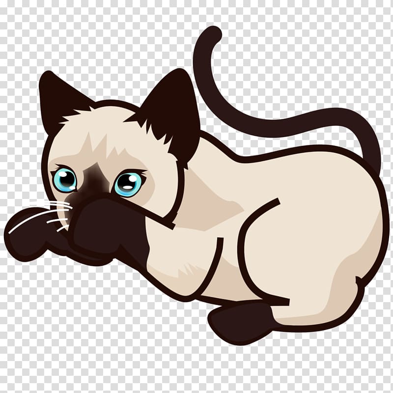 Siamese cat Kitten , cats transparent background PNG clipart