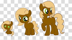 Lion Horse Pony Cat Canidae, lion transparent background PNG clipart thumbnail