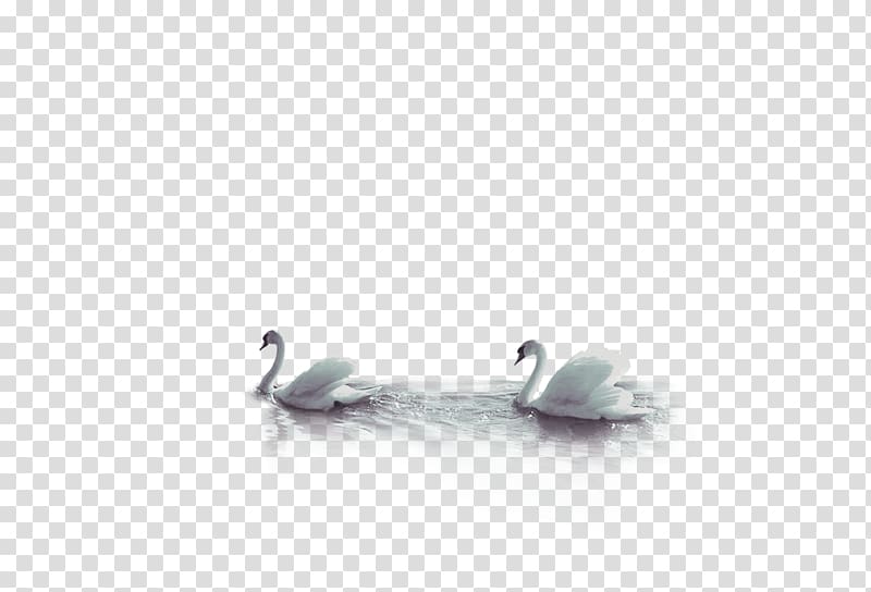 Duck Beak , Ink Swan Background transparent background PNG clipart