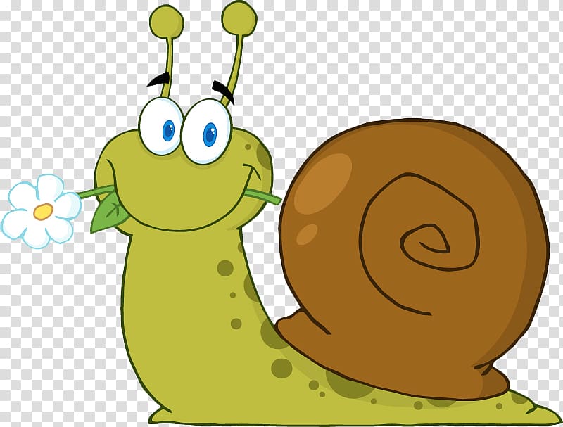 Snail Cartoon , Cartoon snail transparent background PNG clipart