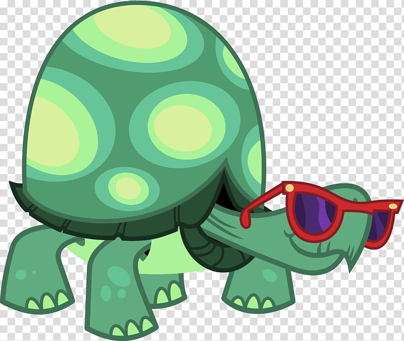 Rainbow Dash Turtle Pony Drawing , Glasses tortoise transparent background PNG clipart