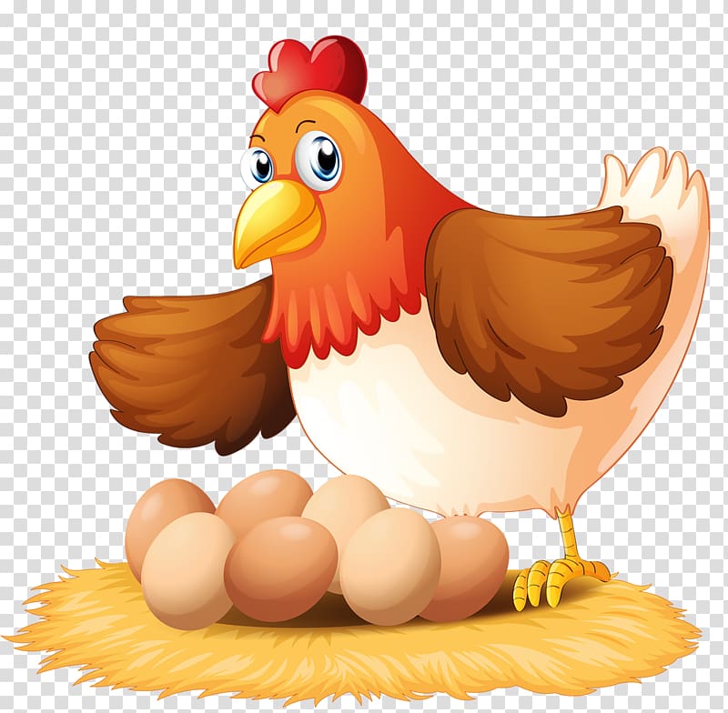 Chicken Egg Hen , Salty wind egg rain transparent background PNG clipart