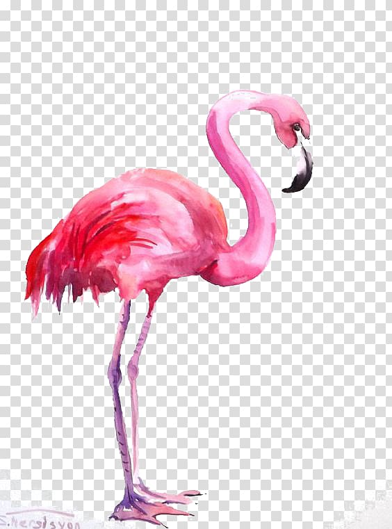 Flamingo Watercolor painting, Flamingos, pink flamingo illustration transparent background PNG clipart
