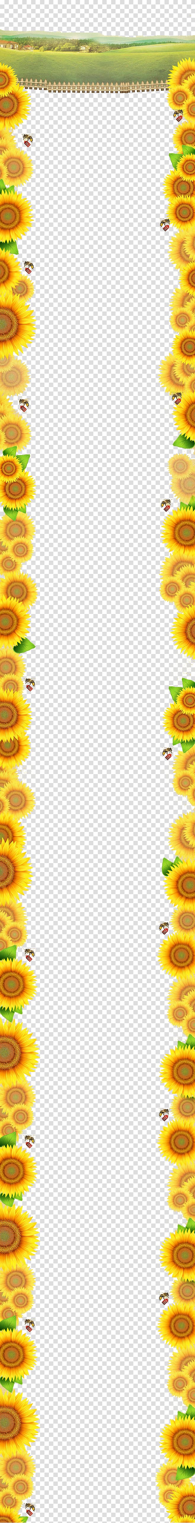Yellow Area Angle Pattern, Sunflower Border transparent background PNG clipart