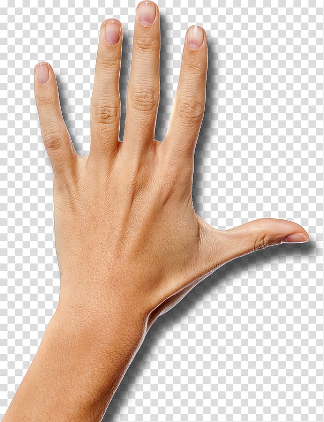 Thumb Hand Wrist Arm Palm, hand transparent background PNG clipart