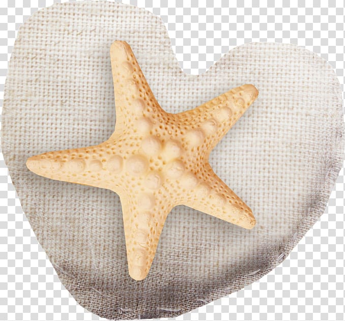 Bulgaria LiveInternet Starfish , starfish transparent background PNG clipart