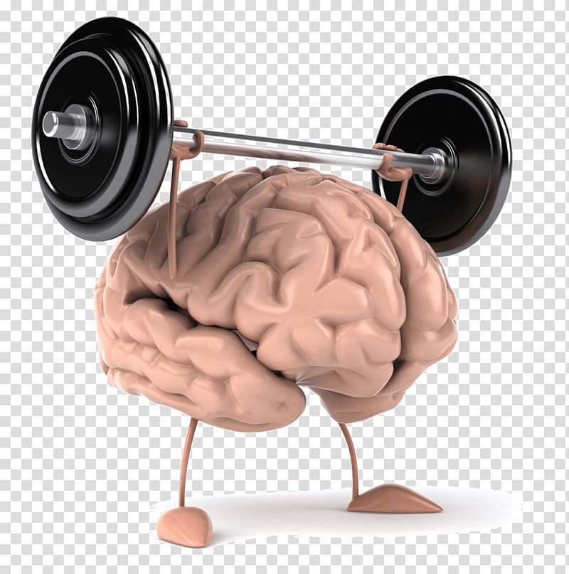 Weight training Brain Exercise Olympic weightlifting Strength training, Brain transparent background PNG clipart