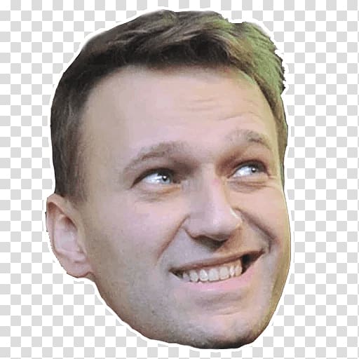 Alexei Navalny Sticker People\'s Freedom Party Election Eyebrow, others transparent background PNG clipart