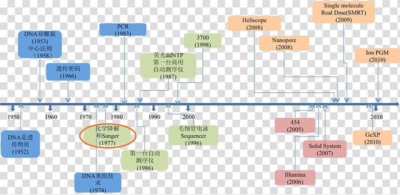 DNA sequencing Sanger sequencing Whole genome sequencing, technology transparent background PNG clipart