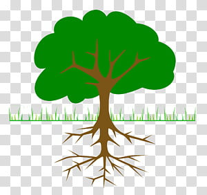 Plant Roots Transparent Background Png Cliparts Free