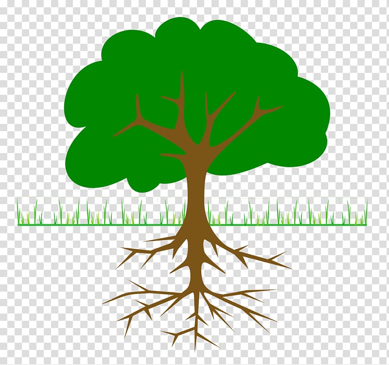 Tree Root Oak , Simple Plant transparent background PNG clipart