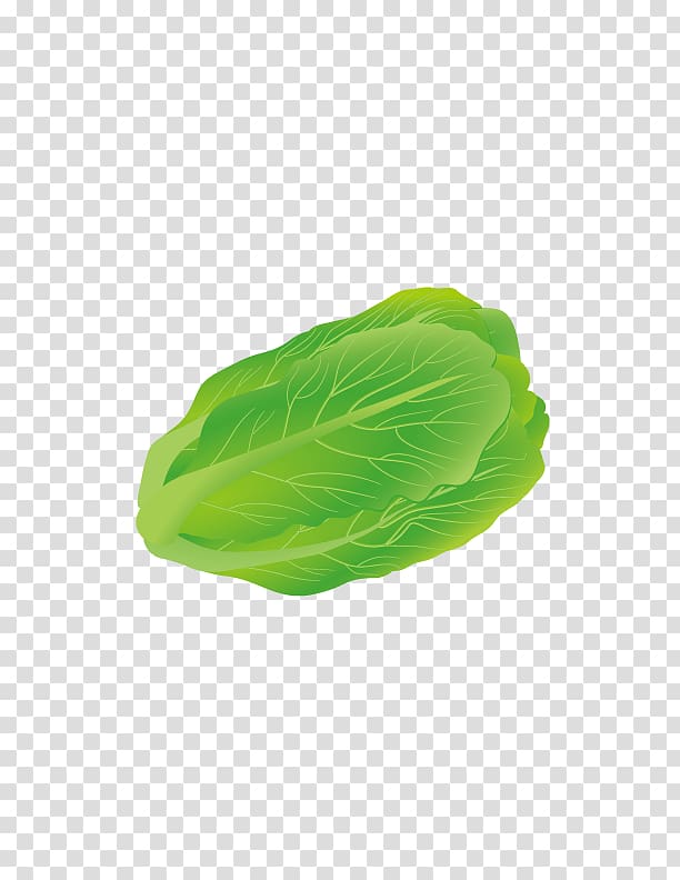 Iceberg lettuce Vegetable Leaf, Fresh cabbage transparent background PNG clipart