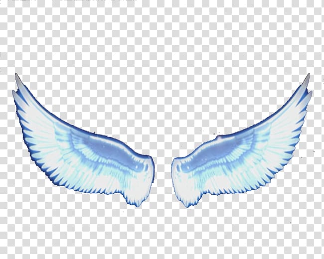 Angel wing Feather, Angel feather wings transparent background PNG clipart