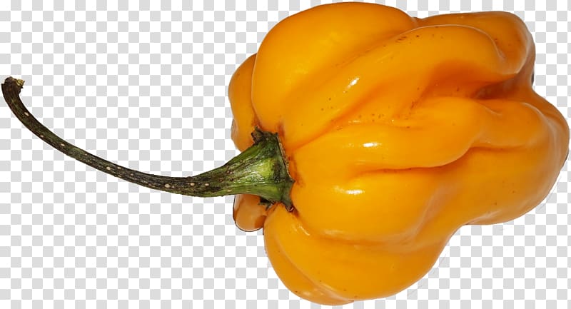 Habanero Chili pepper Yellow pepper Bell pepper Paprika, chili. transparent background PNG clipart