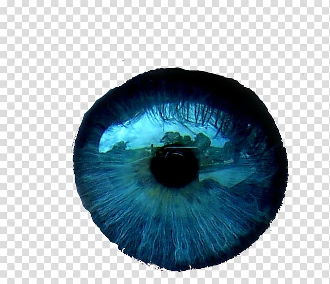 Eye color Blue, Eye transparent background PNG clipart
