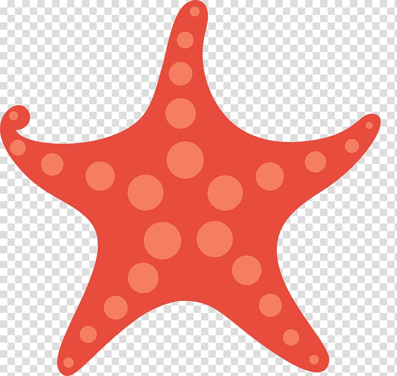 Template Gift card Rxe9sumxe9, starfish transparent background PNG clipart