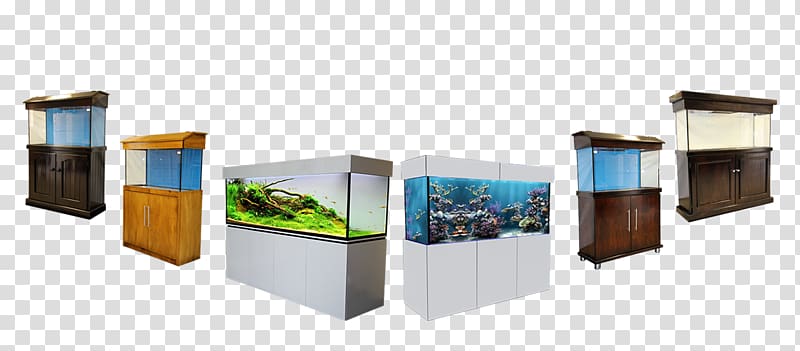 Monaco Pet & Aquarium Trans Aquariums Online Fish, others transparent background PNG clipart