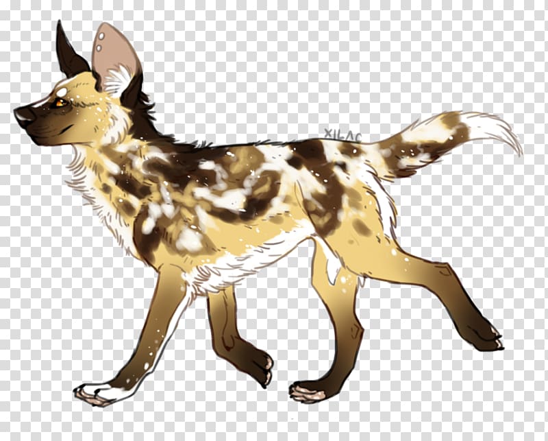 Dog breed German Shepherd African wild dog Brittany dog Drawing, others transparent background PNG clipart