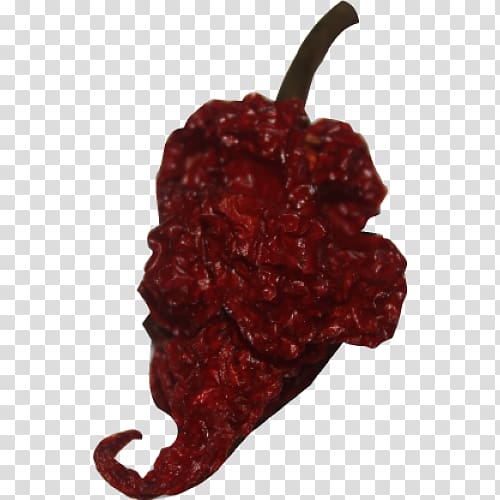 Chili pepper Trinidad moruga scorpion Capsicum annuum Trinidad Scorpion Butch T pepper, chilly transparent background PNG clipart