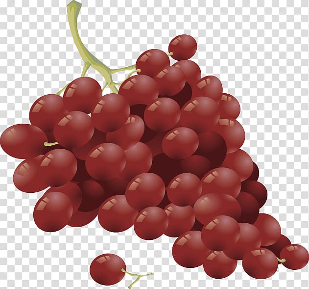 Wine Fruit salad Common Grape Vine, grape transparent background PNG clipart