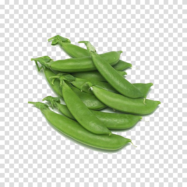Snap pea Edamame Vegetable Bean, Fresh peas transparent background PNG clipart
