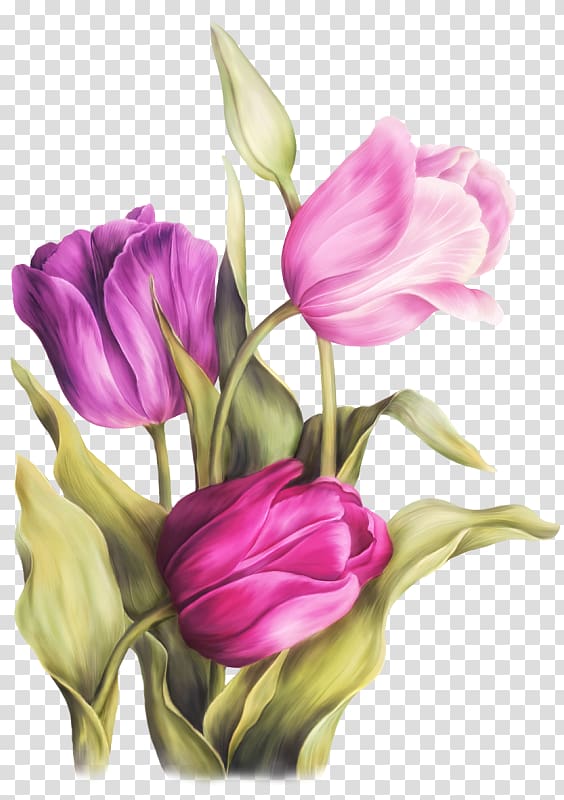 pink tulips flowers, Watercolor painting Art Tulip, tulip watercolor transparent background PNG clipart