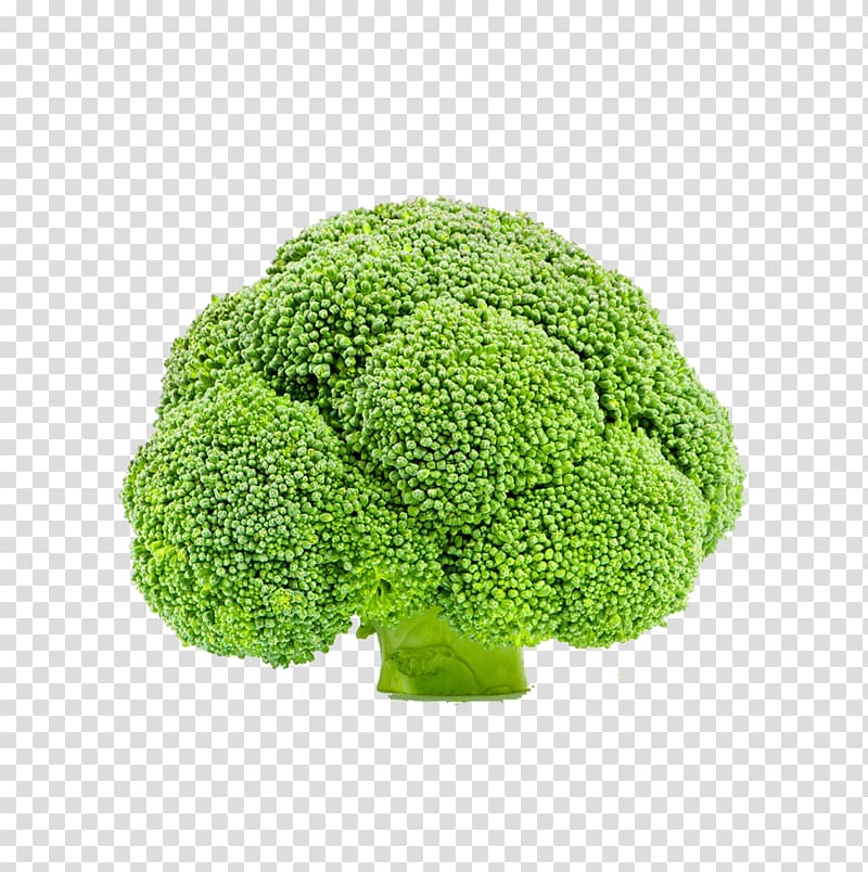 Broccoli Vegetable Cauliflower, Creative broccoli transparent background PNG clipart
