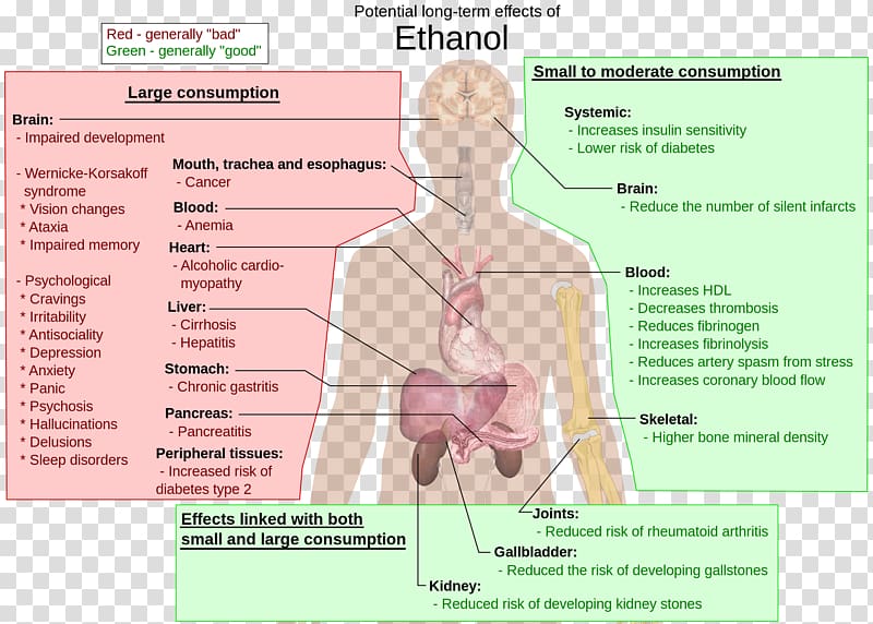 Long-term effects of alcohol consumption Alcoholism Alcohol and health Ethanol Alcoholic drink, liver transparent background PNG clipart