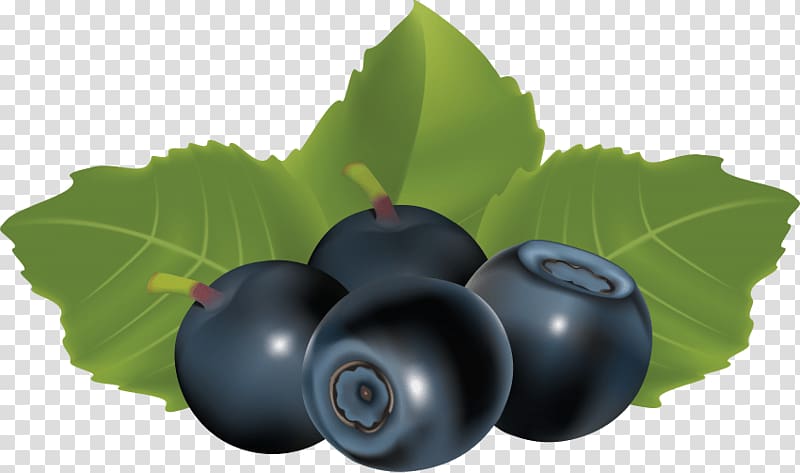 Bilberry Blueberry Grape Food Huckleberry, blueberry transparent background PNG clipart