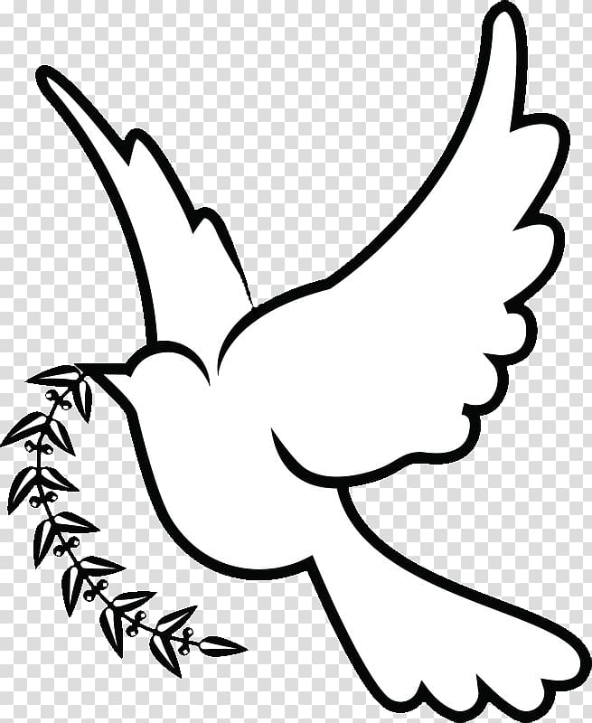 white dove with plant illustration, Columbidae Doves as symbols Christianity , DOVE transparent background PNG clipart